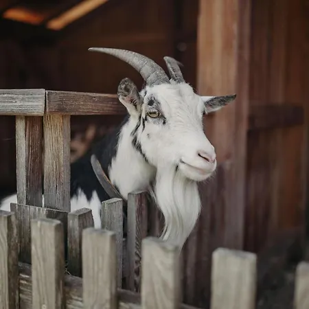 Lerch Hotel Sankt Johann im Pongau