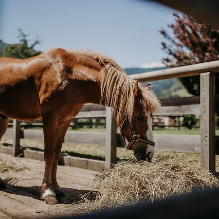 Lerch Hotel Sankt Johann im Pongau