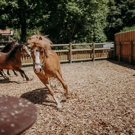 Lerch Sankt Johann im Pongau