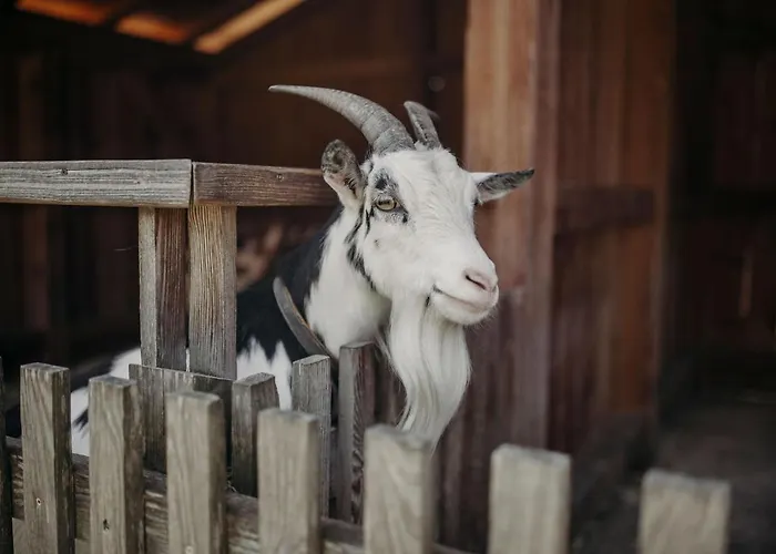 Lerch Hotel St. Johann im Pongau