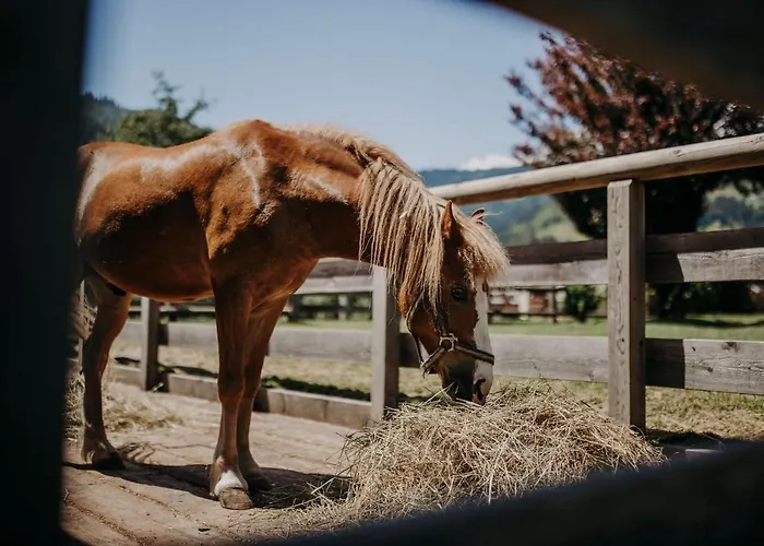 Lerch Hotel Sankt Johann im Pongau
