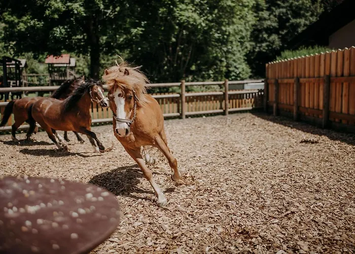 Lerch St. Johann im Pongau